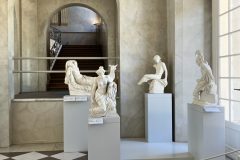 IMG_2692-scaled